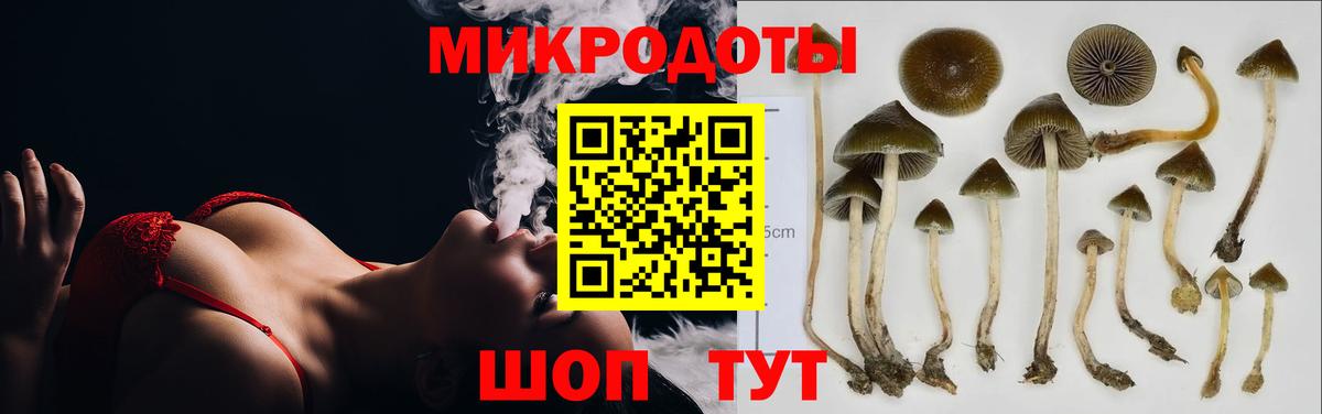 Псилоцибиновые грибы Magic Shrooms Щёлково
